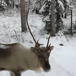 Arctic Circle