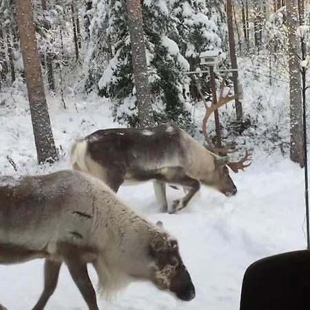 Arctic Circle Ροβανιέμι