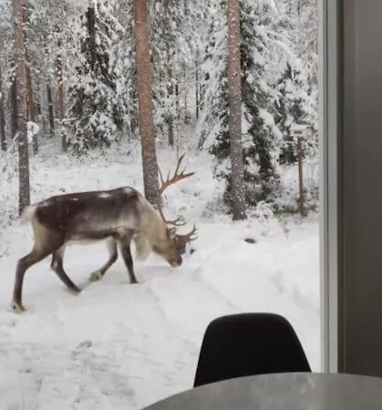 Arctic Circle Casa de Férias