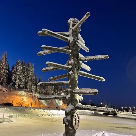 Arctic Circle *