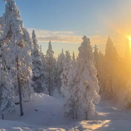 Arctic Circle Rovaniemi