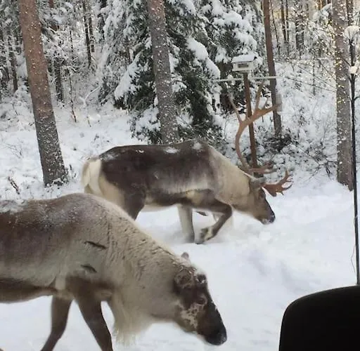 Arctic Circle Ροβανιέμι